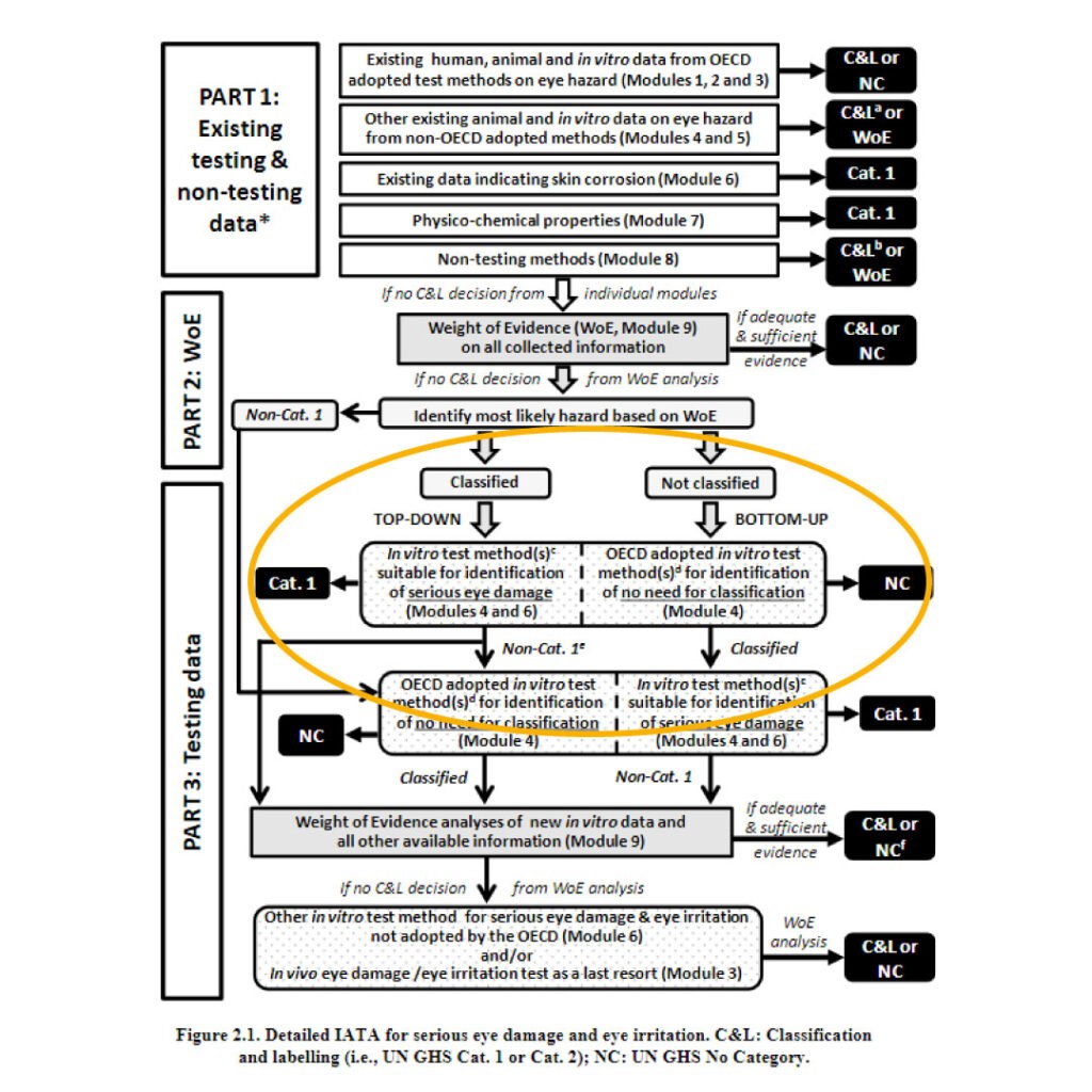 Detailed IATA for serious eye damage and eye irritation
